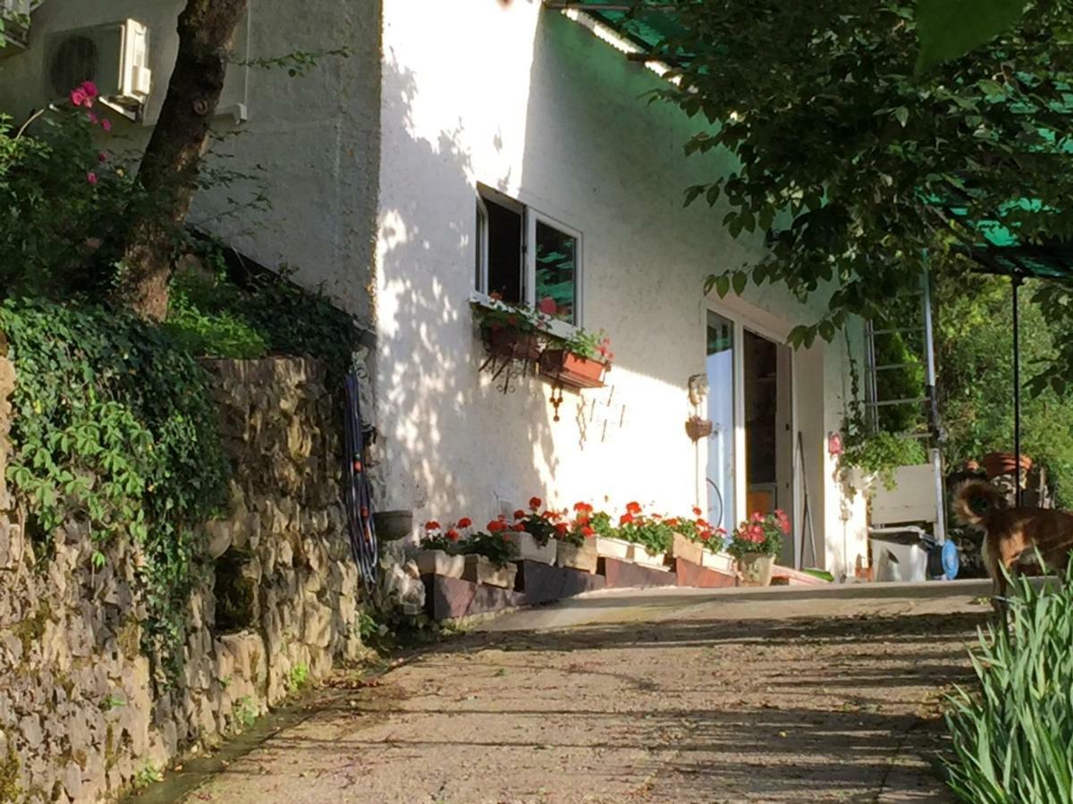 Su Da Noi Bed & Breakfast San Dorligo della Valle Exterior photo