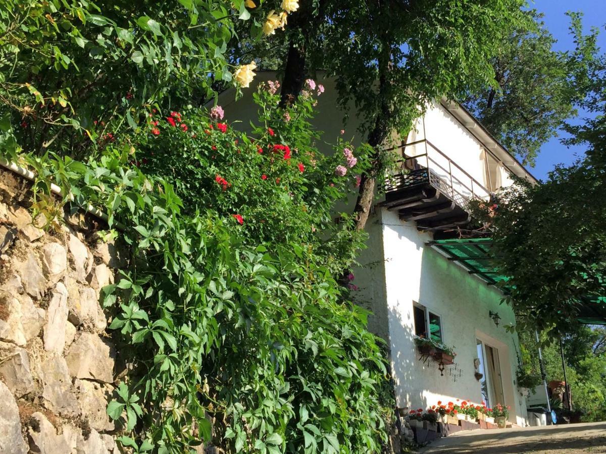 Su Da Noi Bed & Breakfast San Dorligo della Valle Exterior photo