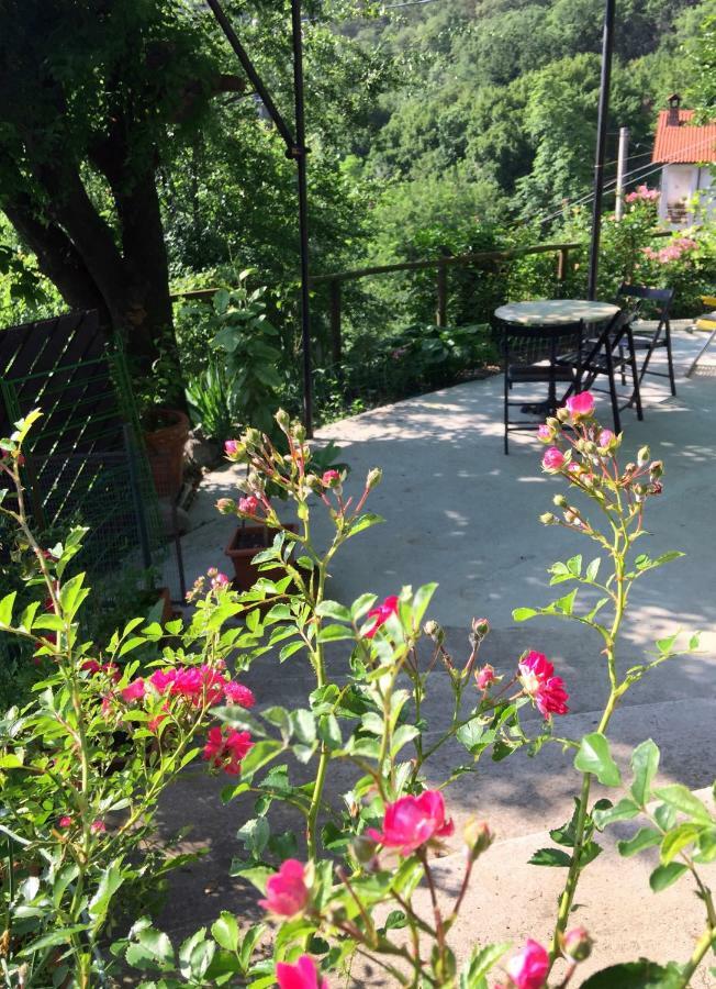 Su Da Noi Bed & Breakfast San Dorligo della Valle Exterior photo